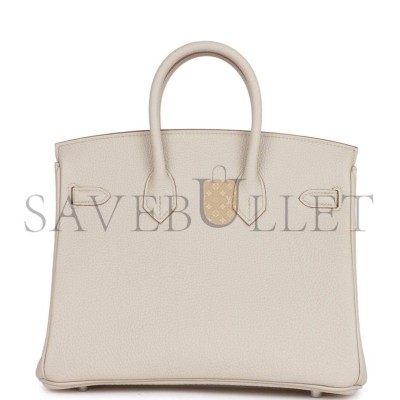HERMES BIRKIN 25 TOGO PALLADIUM HARDWARE (25*20*13cm)