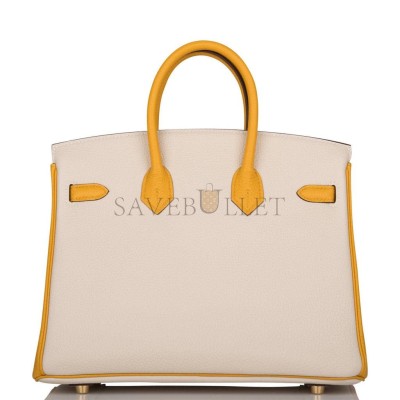 HERMES BIRKIN 25 TOGO BRUSHED GOLD HARDWARE (25*20*13cm)