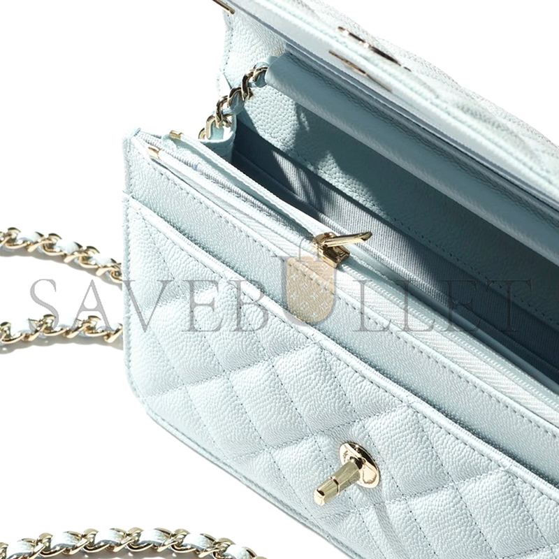 CHANEL WALLET ON CHAIN AP4241 (19.2*12.3*3.5cm)