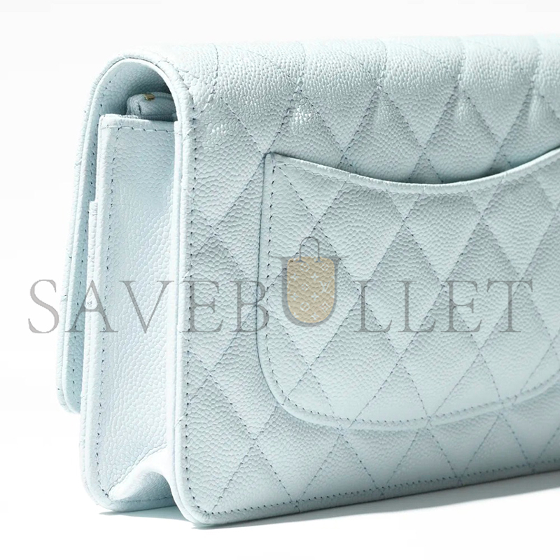 CHANEL WALLET ON CHAIN AP4241 (19.2*12.3*3.5cm)