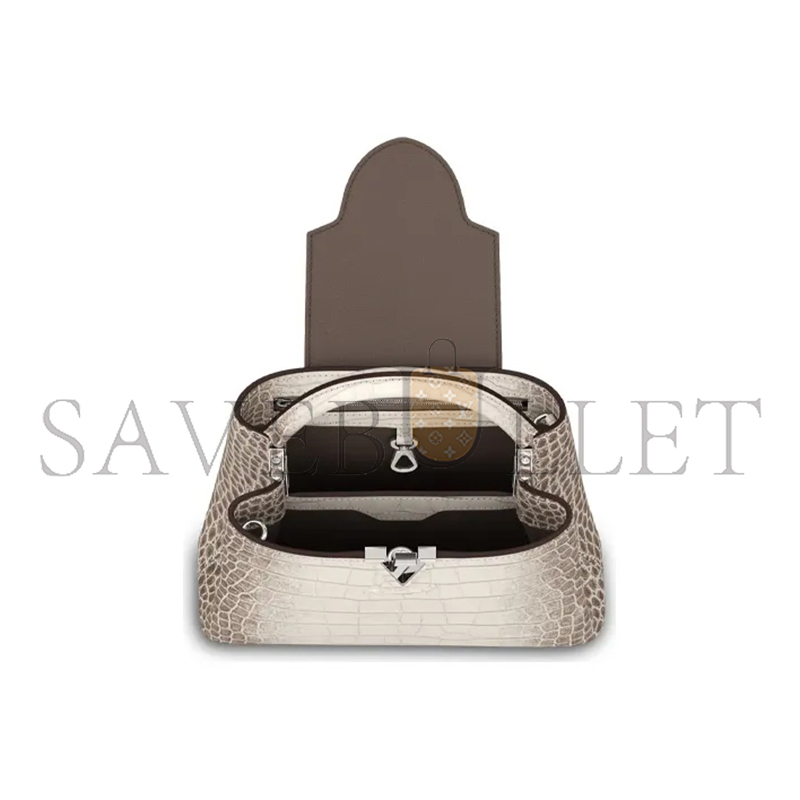LOUIS VUITTON CAPUCINES BB N99290 (27*18*9cm)